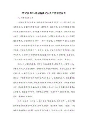 市纪委2023年监督执纪问责工作情况报告.docx