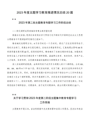 2023年度主题学习教育推进情况总结20篇.docx