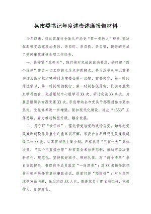 市委书记年度述责述廉报告材料.docx