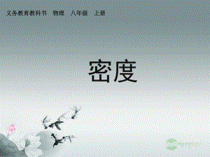 6.2密度课件.ppt