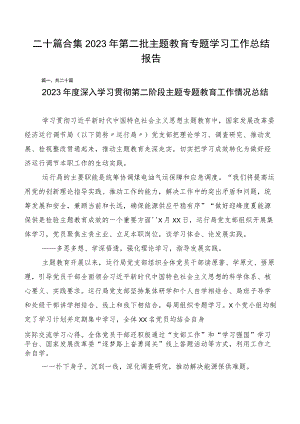 二十篇合集2023年第二批主题教育专题学习工作总结报告.docx
