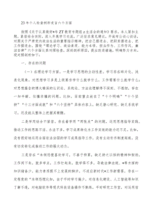 23年个人检查剖析发言六个方面.docx