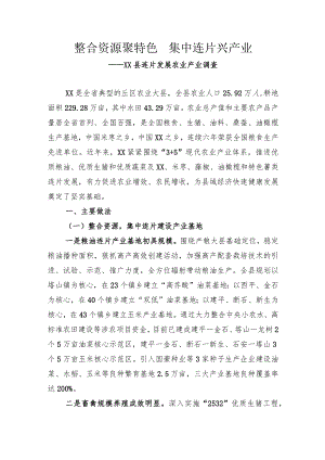 农业产业连片发展情况汇报.docx