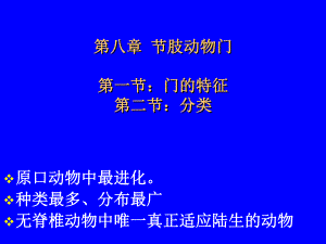 8节肢动物.ppt