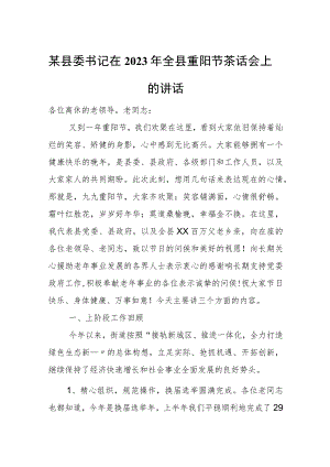 某县委书记在2023年全县重阳节茶话会上的讲话.docx
