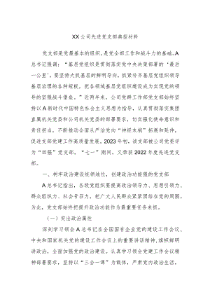 XX公司先进党支部典型材料.docx