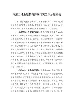 市第二批主题教育开展情况工作总结报告.docx