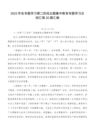 2023年在专题学习第二阶段主题集中教育专题学习总结汇报20篇汇编.docx