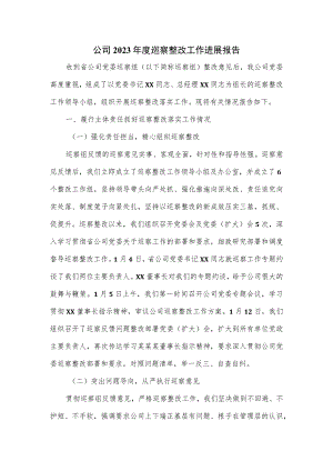 公司2023年度巡察整改工作进展报告.docx