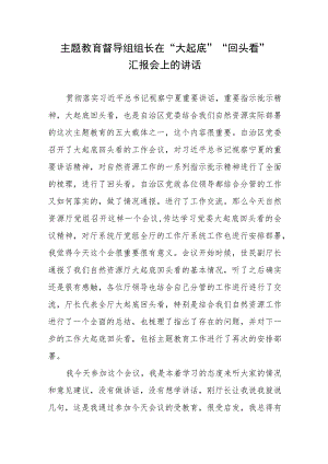 2023年主题教育督导组组长在“大起底”“回头看”汇报会上的讲话发言.docx