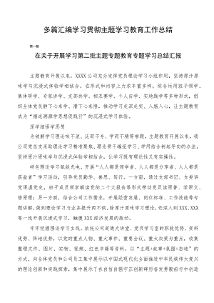 多篇汇编学习贯彻主题学习教育工作总结.docx