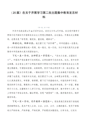 （20篇）在关于开展学习第二批主题集中教育发言材料.docx