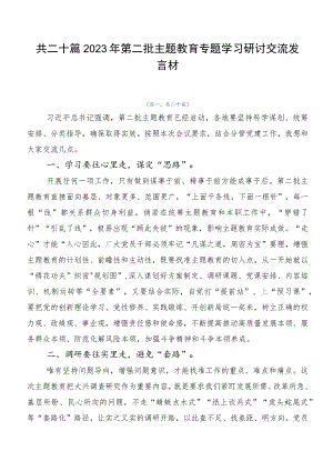 共二十篇2023年第二批主题教育专题学习研讨交流发言材.docx