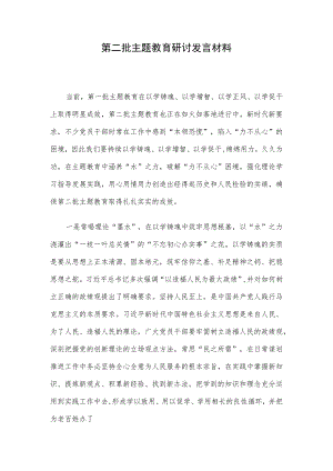 第二批主题教育研讨发言材料.docx
