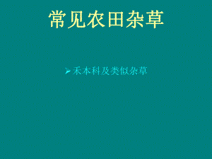 常见农田杂草图鉴.ppt