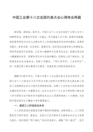 工会第十八次全国代表大会心得体会两篇.docx