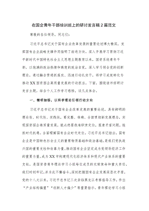 在国企青年干部培训班上的研讨发言稿2篇范文.docx