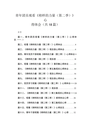 青年团员观看《榜样的力量（第二季）》心得体会【18篇】.docx
