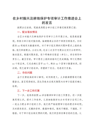 在乡村振兴及耕地保护专项审计工作推进会上的发言.docx