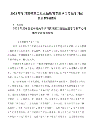 2023年学习贯彻第二批主题教育专题学习专题学习的发言材料数篇.docx
