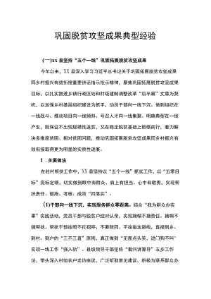 巩固脱贫攻坚成果典型经验.docx
