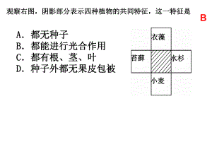 6.1.2从种到界.ppt