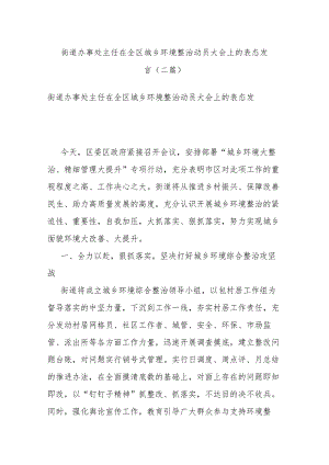 街道办事处主任在全区城乡环境整治动员大会上的表态发言(二篇).docx