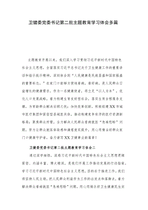卫健委党委书记第二批主题教育学习体会多篇.docx