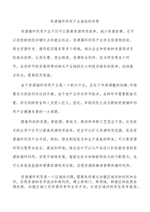 资源循环利用产业面临的形势.docx