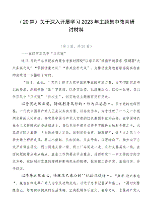 （20篇）关于深入开展学习2023年主题集中教育研讨材料.docx