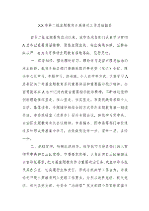 XX市第二批主题教育开展情况工作总结报告.docx