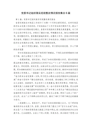 党委书记组织落实巡视整改情况报告集合6篇.docx