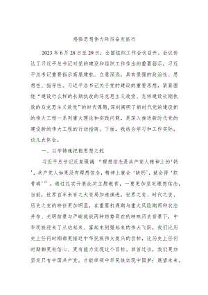 主题教育第二次交流发言材料：感悟思想伟力踔厉奋发前行.docx