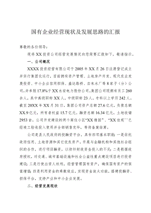 国有企业经营现状与发展思路.docx