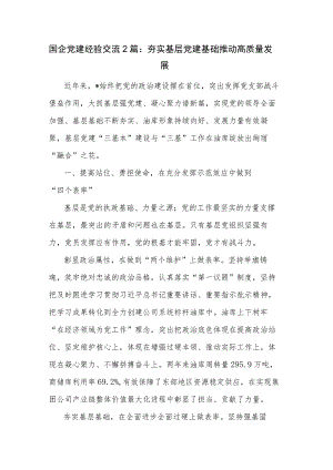 国企党建经验交流2篇：夯实基层党建基础 推动高质量发展.docx