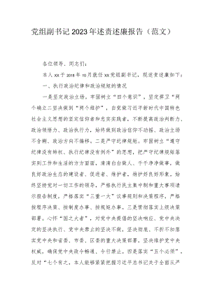 党组副书记2023年述责述廉报告(范文）.docx