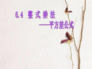 6.4平方差公式.ppt