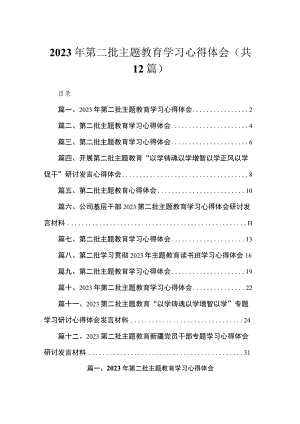 2023年第二批主题教育学习心得体会（共12篇）.docx