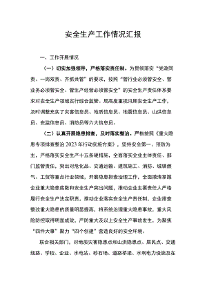 安全生产工作情况汇报.docx
