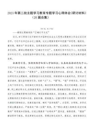 2023年第二批主题学习教育专题学习心得体会（研讨材料）（20篇合集）.docx