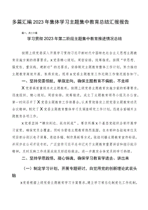 多篇汇编2023年集体学习主题集中教育总结汇报报告.docx