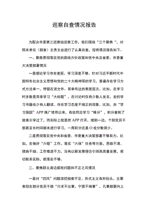 巡察自查情况报告.docx