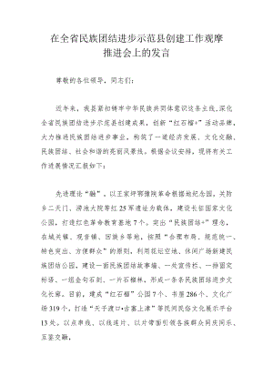 在全省民族团结进步示范县创建工作观摩推进会上的发言.docx