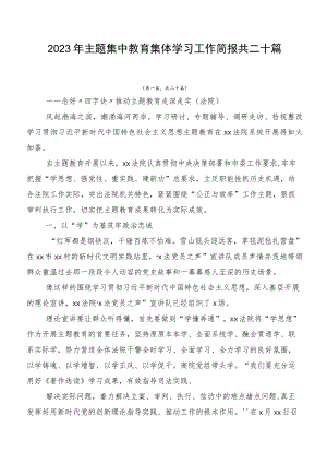 2023年主题集中教育集体学习工作简报共二十篇.docx