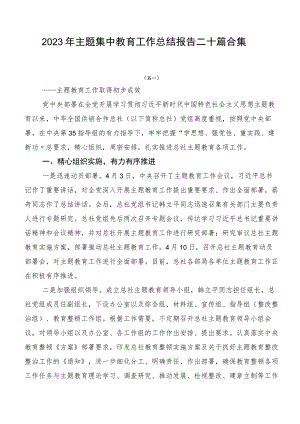 2023年主题集中教育工作总结报告二十篇合集.docx