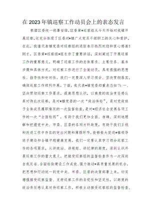 在2023年镇巡察工作动员会上的表态发言.docx