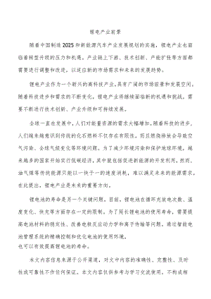 锂电产业前景.docx