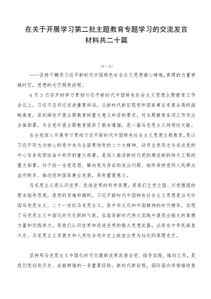 在关于开展学习第二批主题教育专题学习的交流发言材料共二十篇.docx
