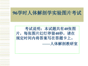 96学时实验考试有答案金联洲.ppt