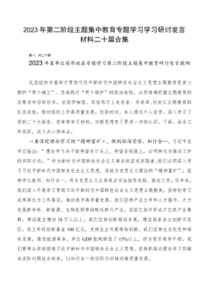 2023年第二阶段主题集中教育专题学习学习研讨发言材料二十篇合集.docx